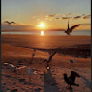 Meet your Posher, De